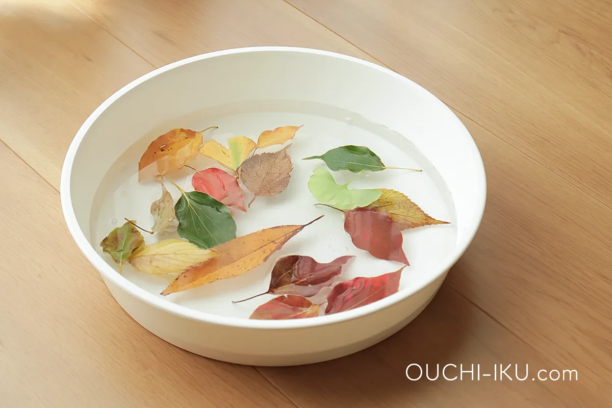まずは汚れと虫を落とす