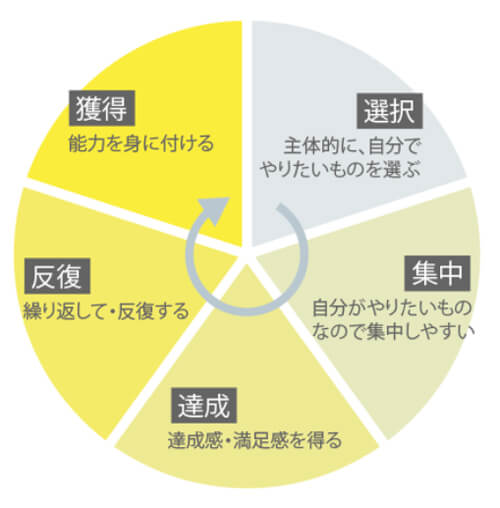 モンテッソーリ教育の学習のサイクル