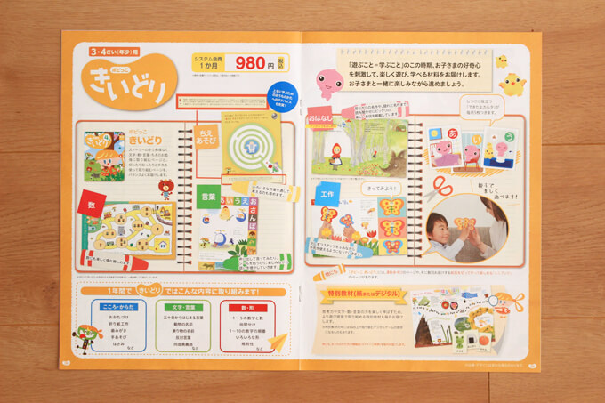 ポピーのきいどりのカリキュラム