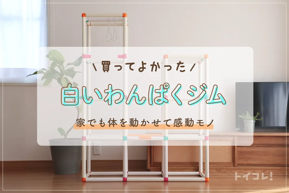 ピープルのジャングルジム「白いわんぱくジム」6年目レビュー！運動し 