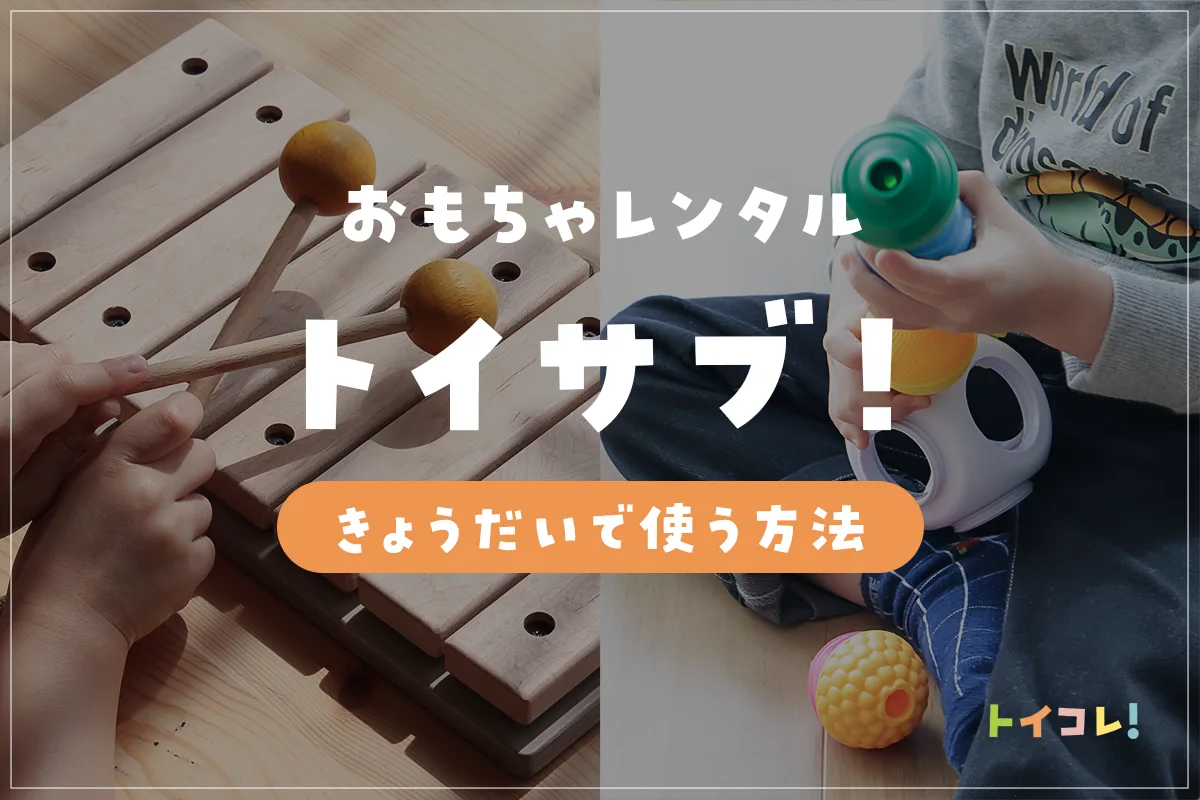 トイサブ兄弟きょうだいプランを利用して分かった良さ・デメリット解説！うまく活用してみて