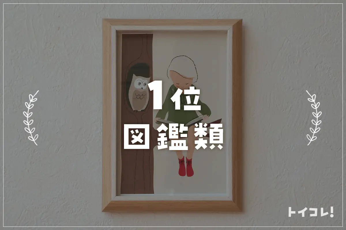 4歳クリスマスプレゼント1位：図鑑