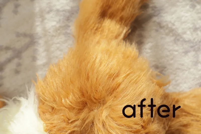 イーブイの毛after