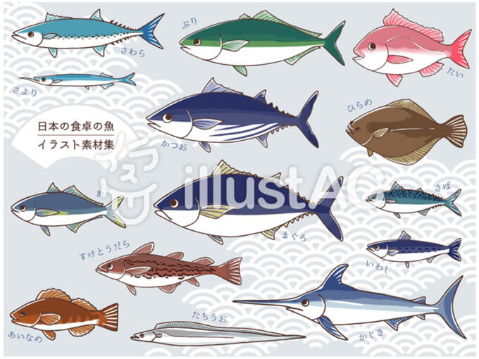 日本の魚のイラスト集