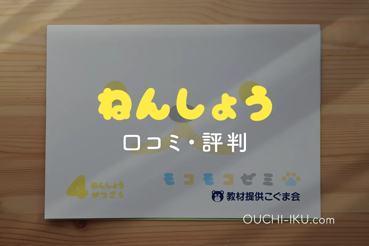 ゆ*な様 モコモコゼミ ねんしょう 教材セット 全11冊 4月号無し 年長 