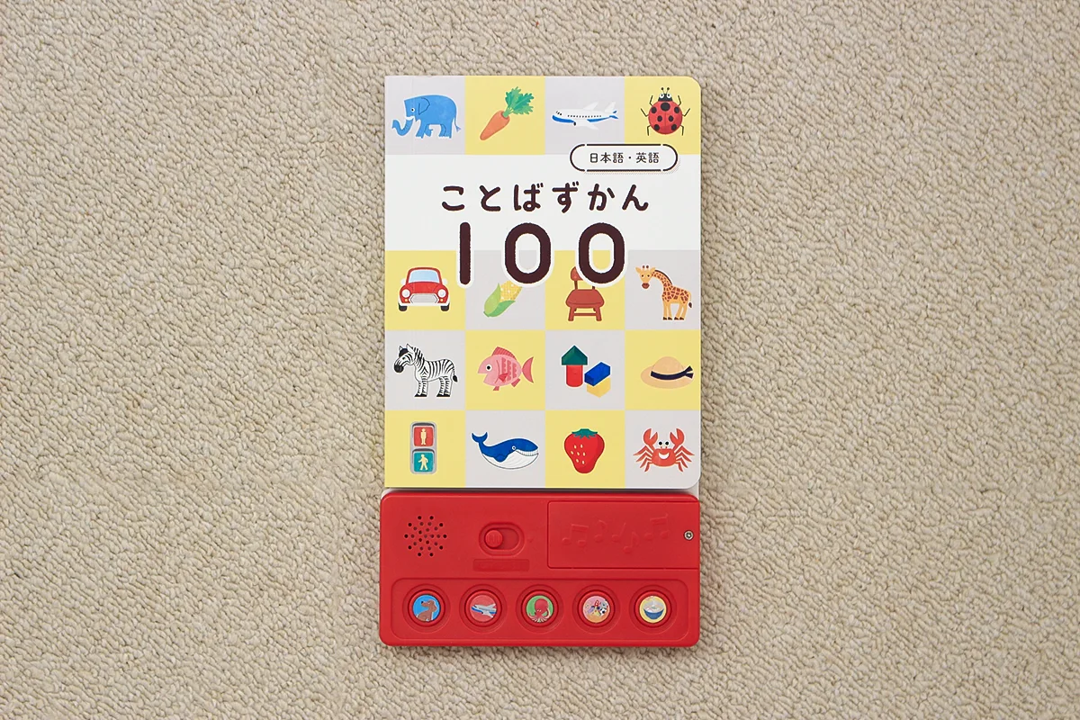 ことばずかん100