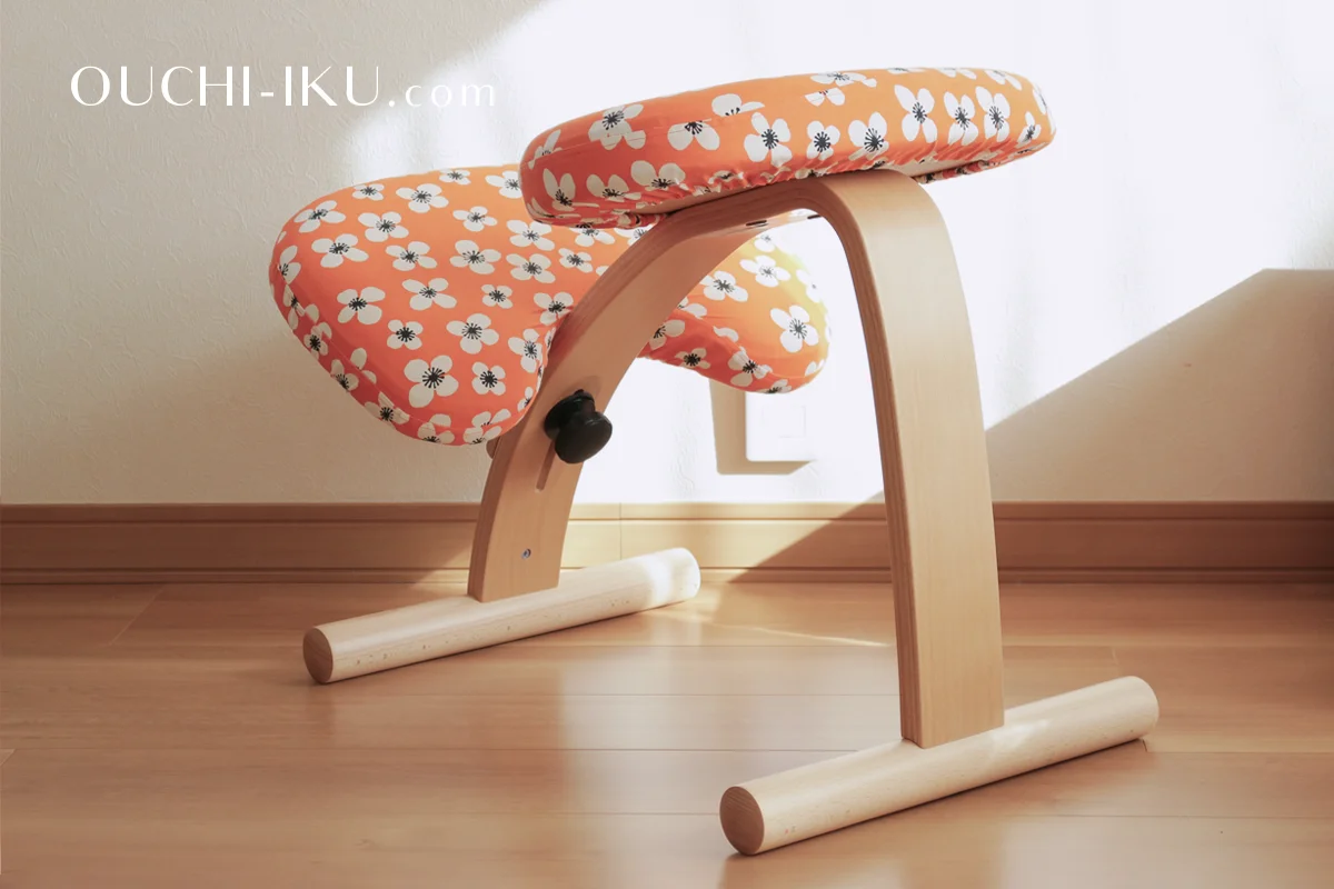 バランスチェア　スタイルチェア　ほぼ新品未使用 : バランスラボ バランスイージー ショートフレーム 通常