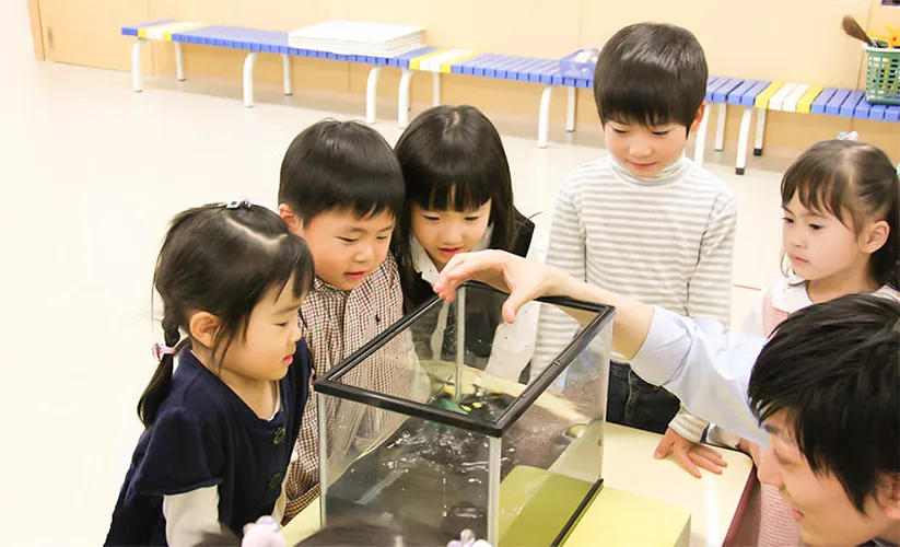 おすすめ幼児教室２：理英会