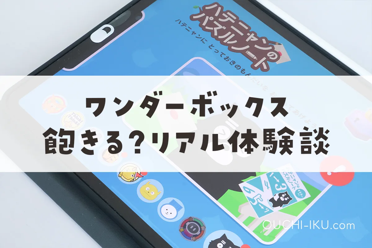 やめた理由No.1：ワンダーボックスは飽きるのか。我が家のリアル体験談